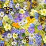 spring-flowers-flowers-collage-floral-68507-68507.jpg